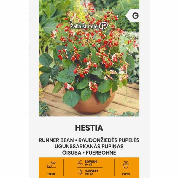 Runner Bean 'Hestia'