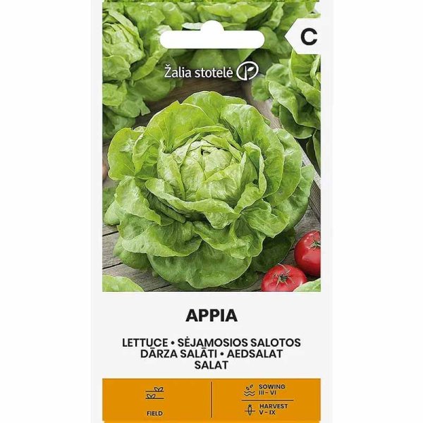 Batavia Lettuce 'Appia'