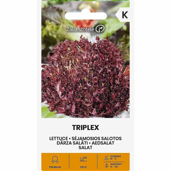Lettuce 'Triplex'