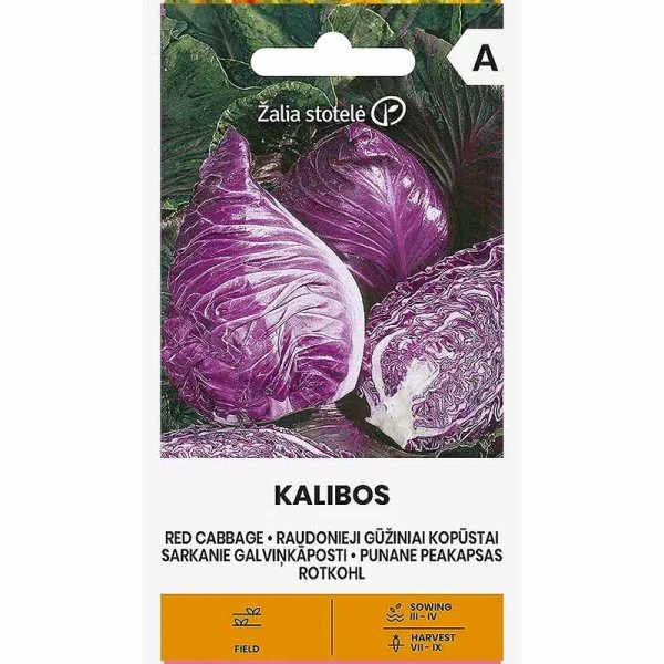 Red Cabbage 'Kalibos'