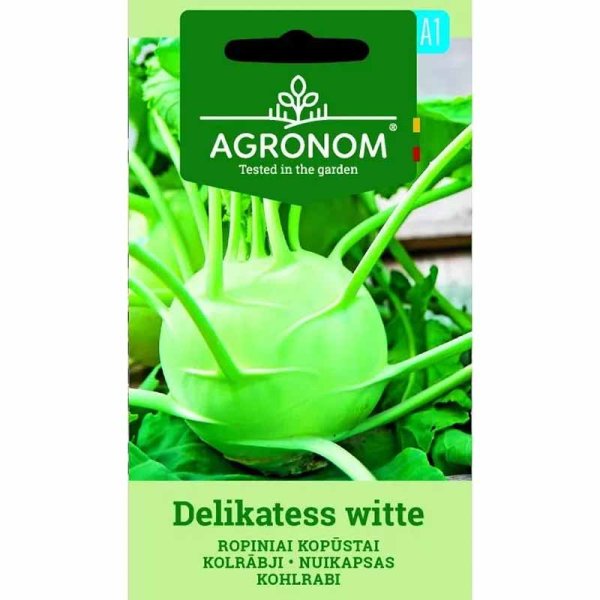 Kohlrabi 'Delikatess Witte'