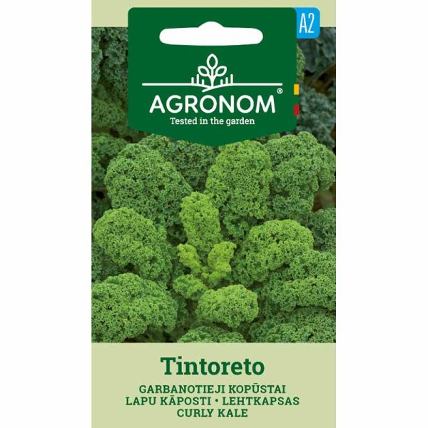 Kale 'Tintoreto'