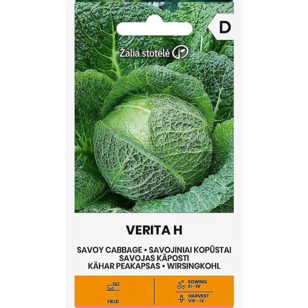 Savoy Cabbage 'Verita' H