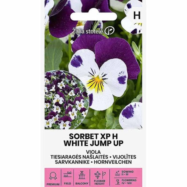 Pansy 'Sorbet XP White Jump Up'
