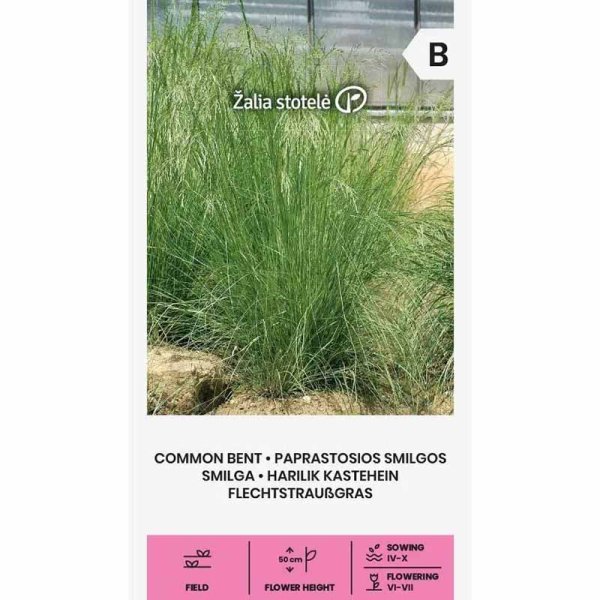 Red Fescue