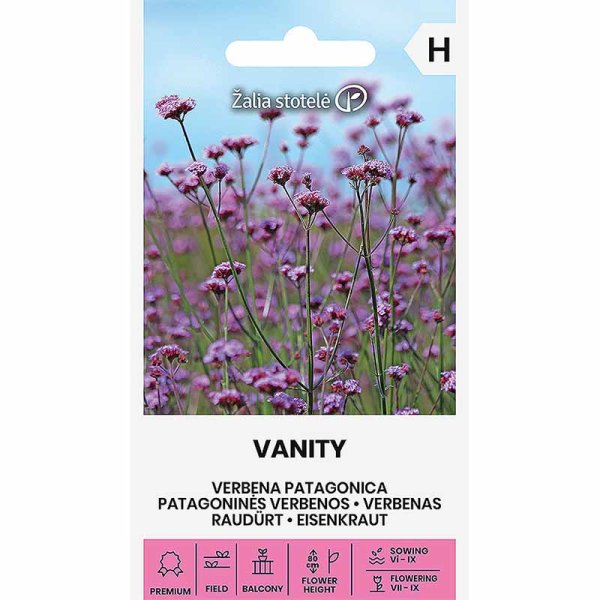 Giant Verbena 'Vanity'