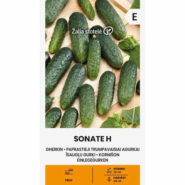 Cucumber 'Sonate' F1
