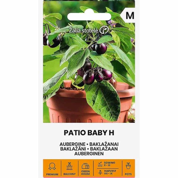 Eggplant 'Patio baby' h
