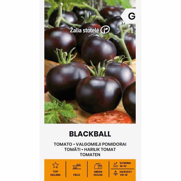 Tomato 'Blackball'