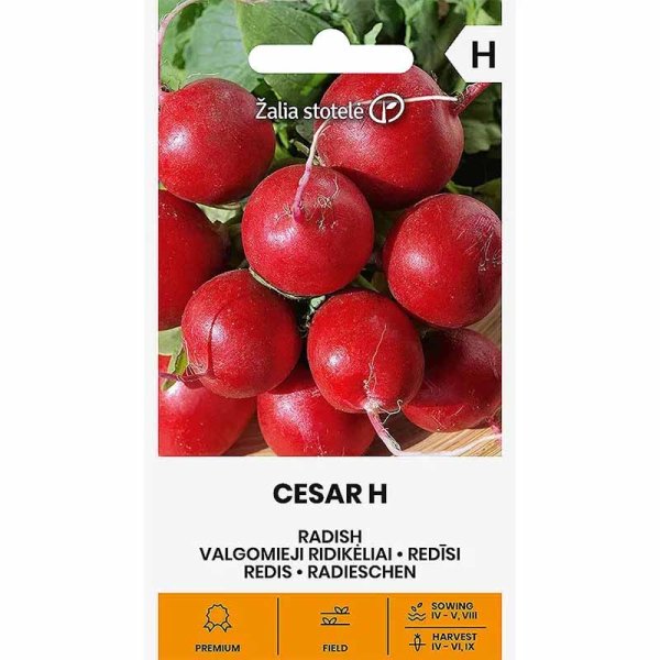 Radish 'Ceasar' H