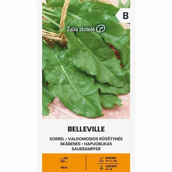 Meadow Sorrel 'Belleville'