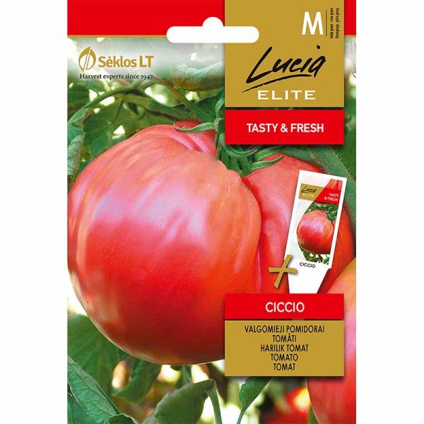Beefsteak Tomato 'Ciccio'