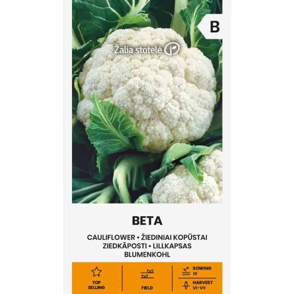 Cauliflower 'Beta'