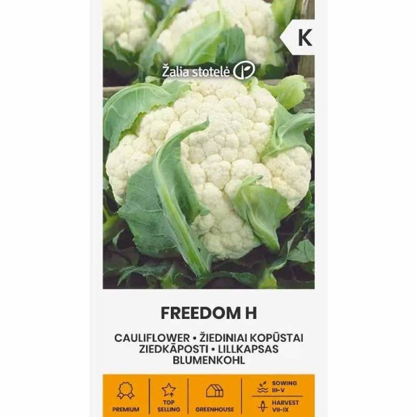 Cauliflower 'Freedom' H