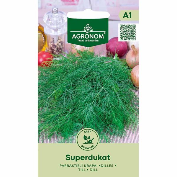 Dill 'Superdukat'