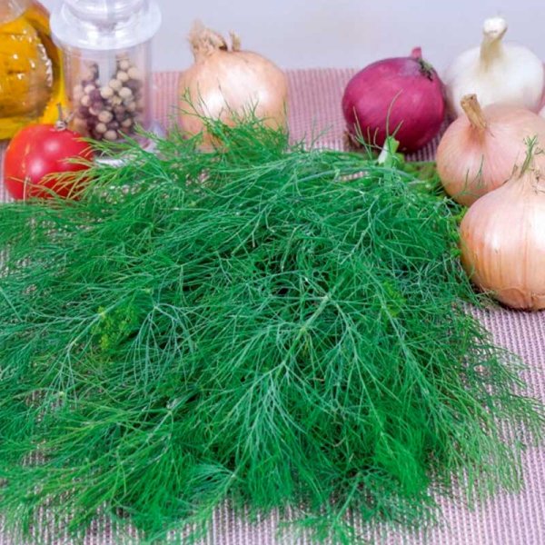 Dill 'Superdukat'