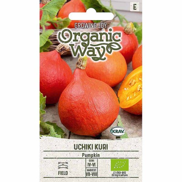 Pumpkin 'Uchhiki Kuri'
