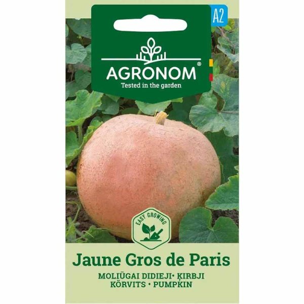 Pumpkin 'Jaune Gros de Paris'