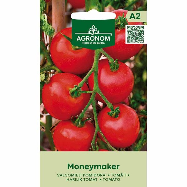 Tomato 'Moneymaker'
