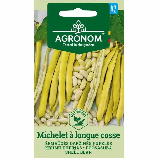 Shelling bean 'Michelet à longue cosse'