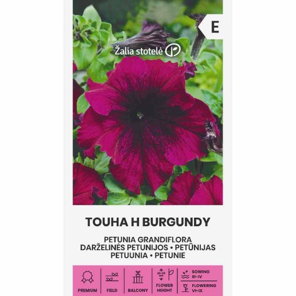 Scented Petunia 'Touha h burgundy'