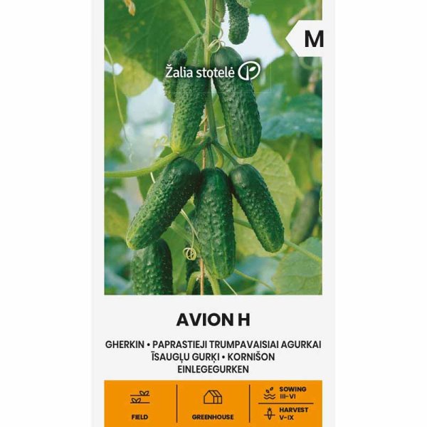 Cucumber 'Avion' F1