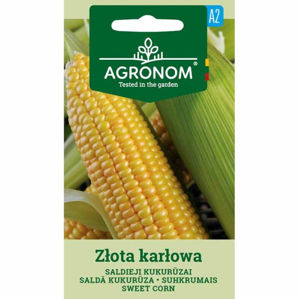 Corn 'Zlota Karlowa'