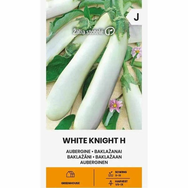 Eggplant 'White knight' H