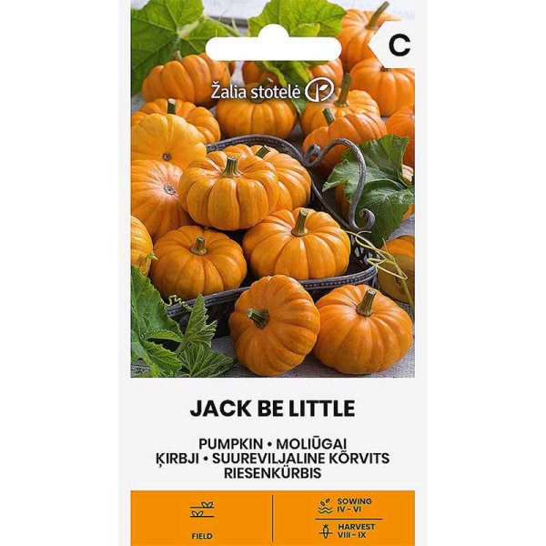 Pumpkin 'Jack Be Little'