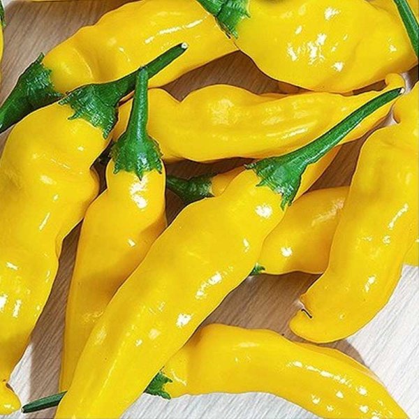 Chili 'Hot lemon'