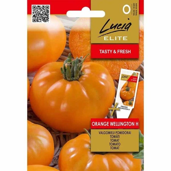 Tomato 'Orange Wellington' H