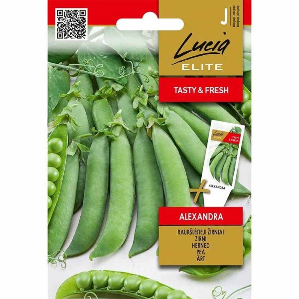Pea 'Alexandra'