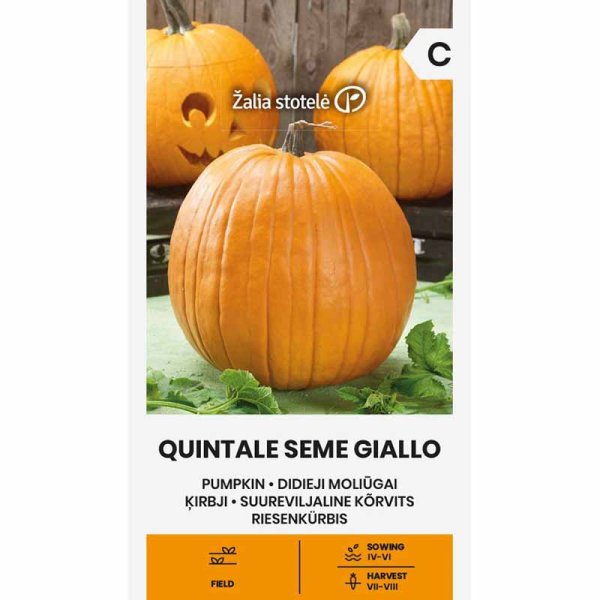 Pumpkin 'Quintale Seme Giallo'