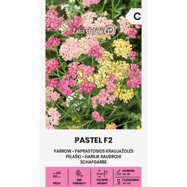 Yarrow 'Pastel' F2