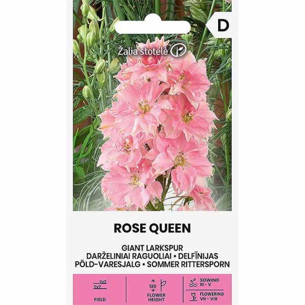Larkspur 'Rose Queen'