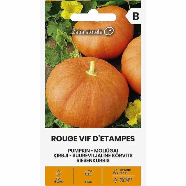 Mammoth Pumpkin 'Rouge Vif D'Etampes'