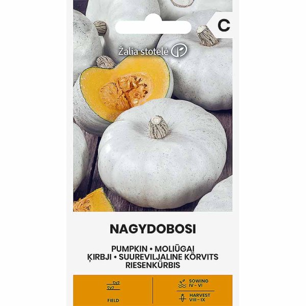 Winter Squash 'Nagydobosi'
