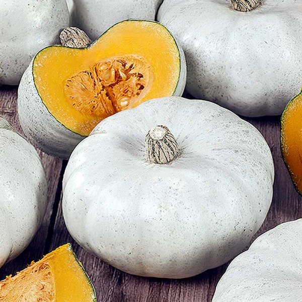 Winter Squash 'Nagydobosi'