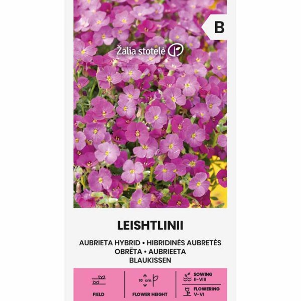 Aubrieta 'Leishtlini'