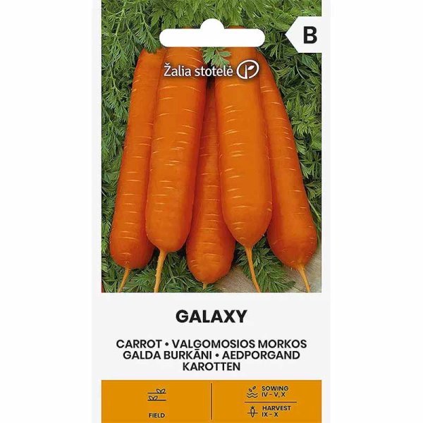 Carrot 'Galaxy'