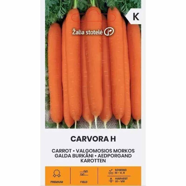 Carrot 'Carvora' H
