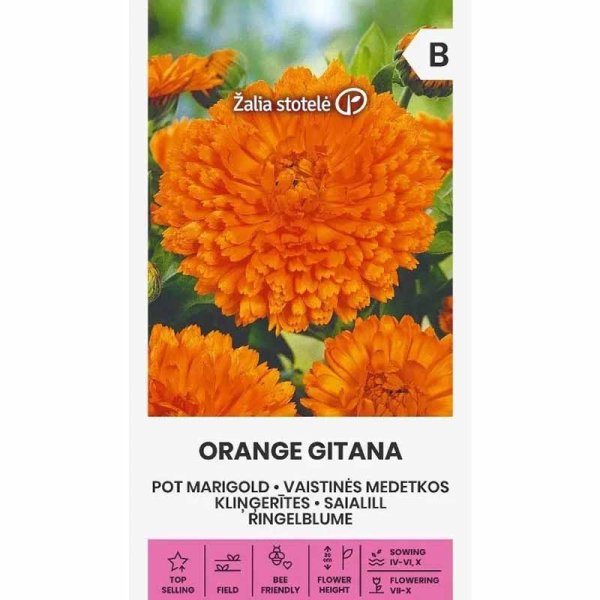 Calendula 'Orange gitana'
