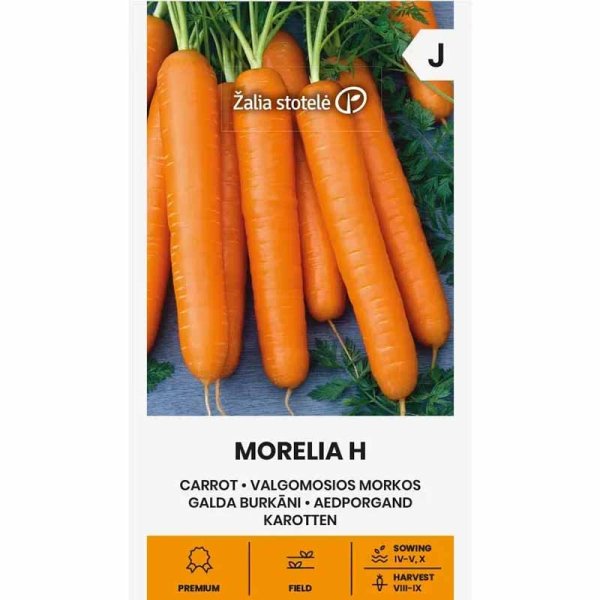 Carrot 'Morelia' H