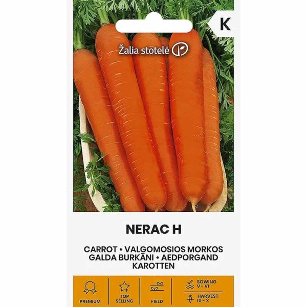 Carrot 'Nerac' H