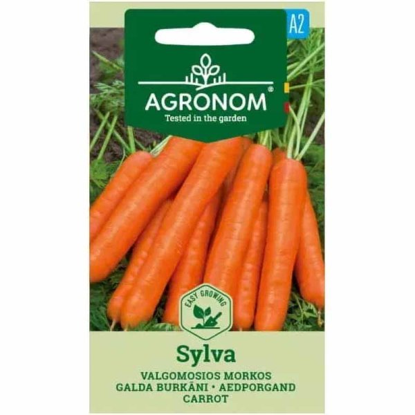 Carrot 'Sylva'