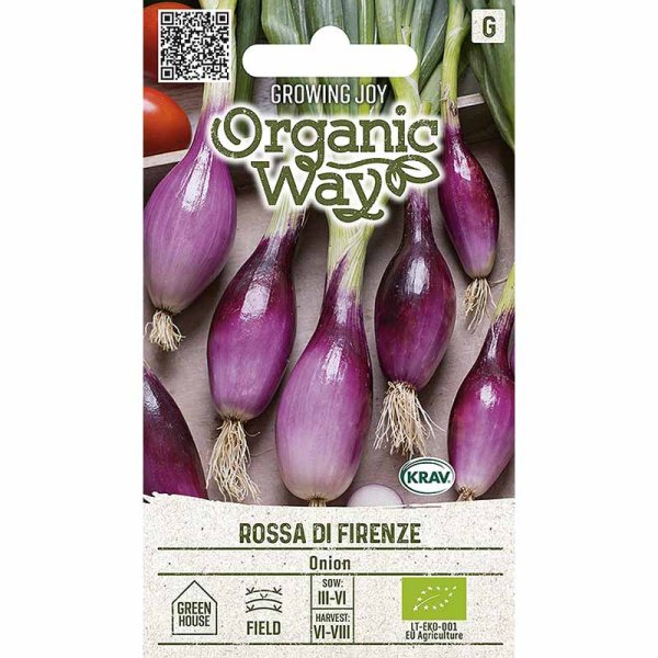 Onion 'Rossa di Firenze'