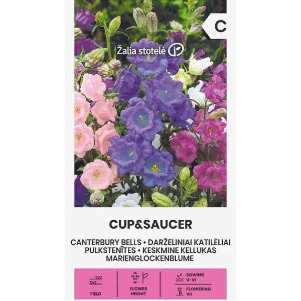 Canterbury Bells 'Cup & Saucer mix'