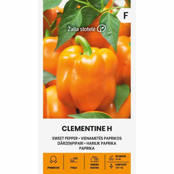 Sweet Pepper 'Clementine' H