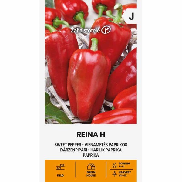 Sweet Pepper 'Reina' H