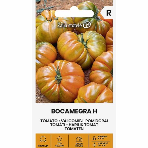 Tomato 'Bocamegra' H